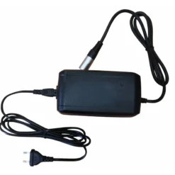 Chargeur Giant 2010/2016 pour Vélo Électrique | Compatible Giant | Chargeur de Batterie